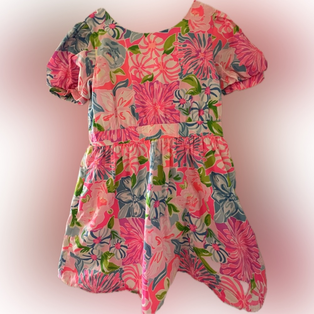 Lilly Pulitzer Take It From Your Mums Mildred Dress size 6